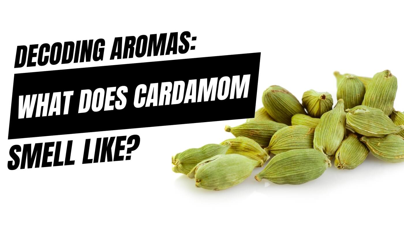 Decoding Aromas What Does Cardamom Smell Like Candlelore