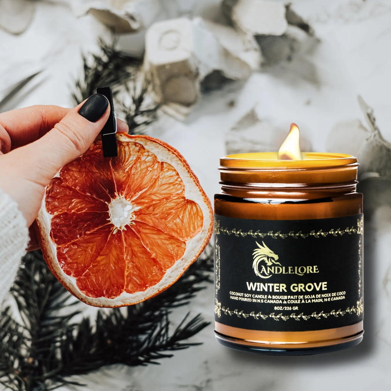 lit Winter Grove Candle with citrus and evergreens around it